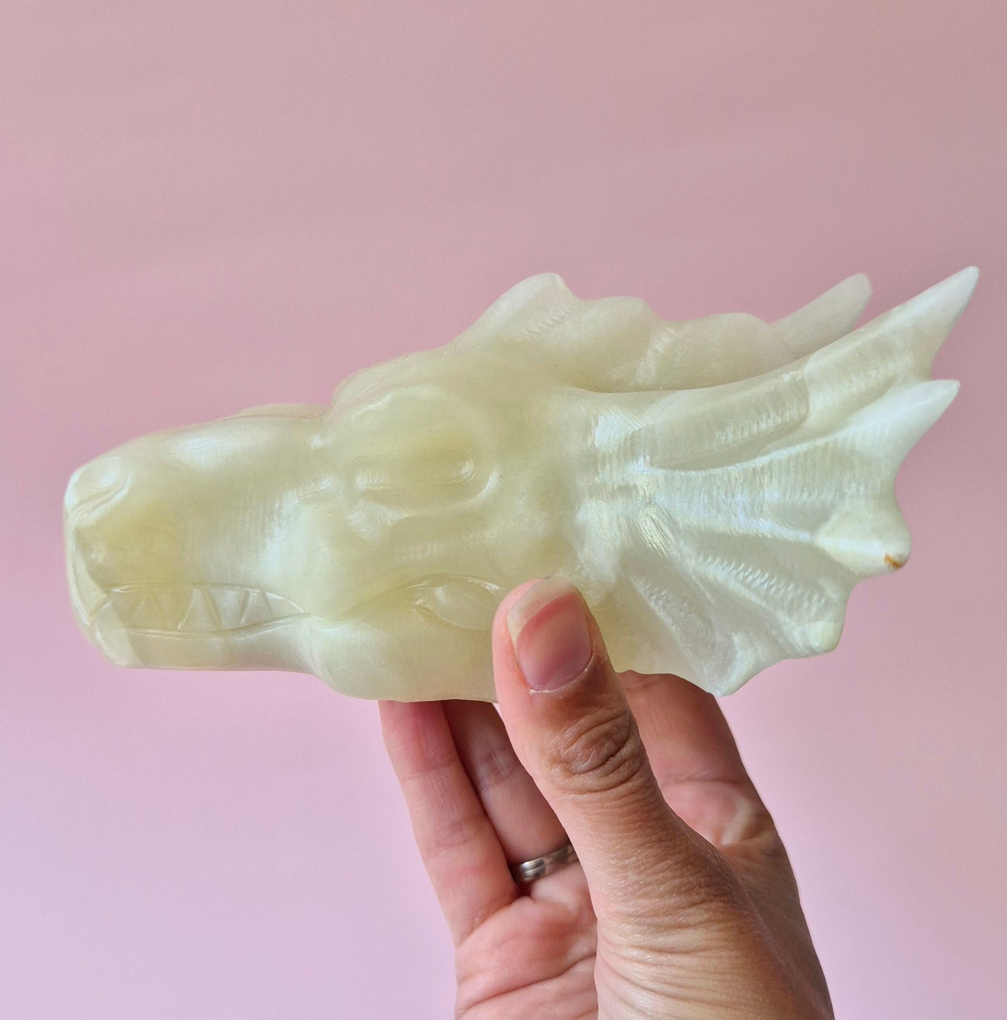 XL Afghaanse Groene Jade Draken Schedel – 750g | 13x6,5x10cm (Dragon Skull)