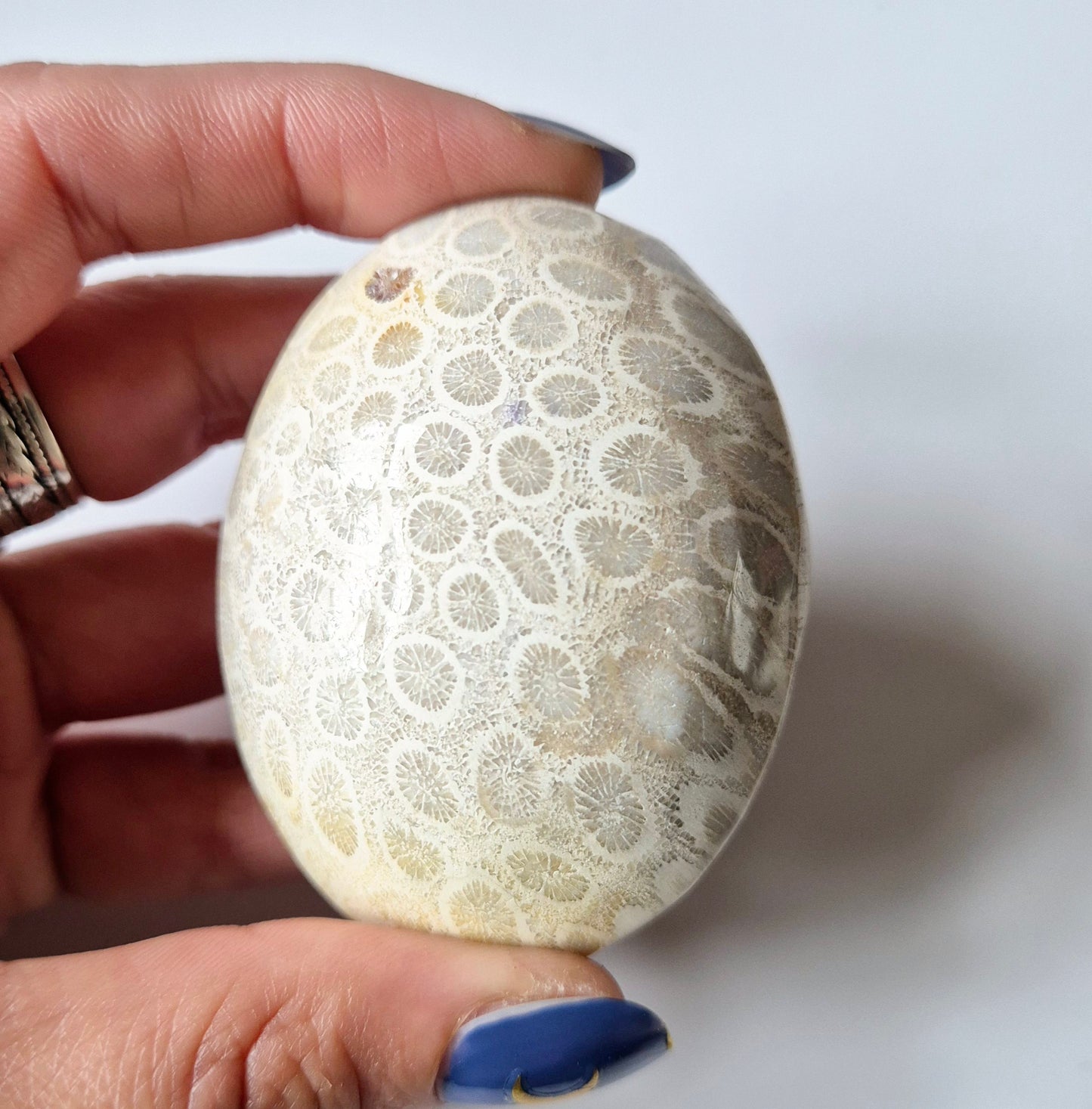 Kristall Koralle Jade Fossil Palmstein Stress Relief Heilung Geschenk