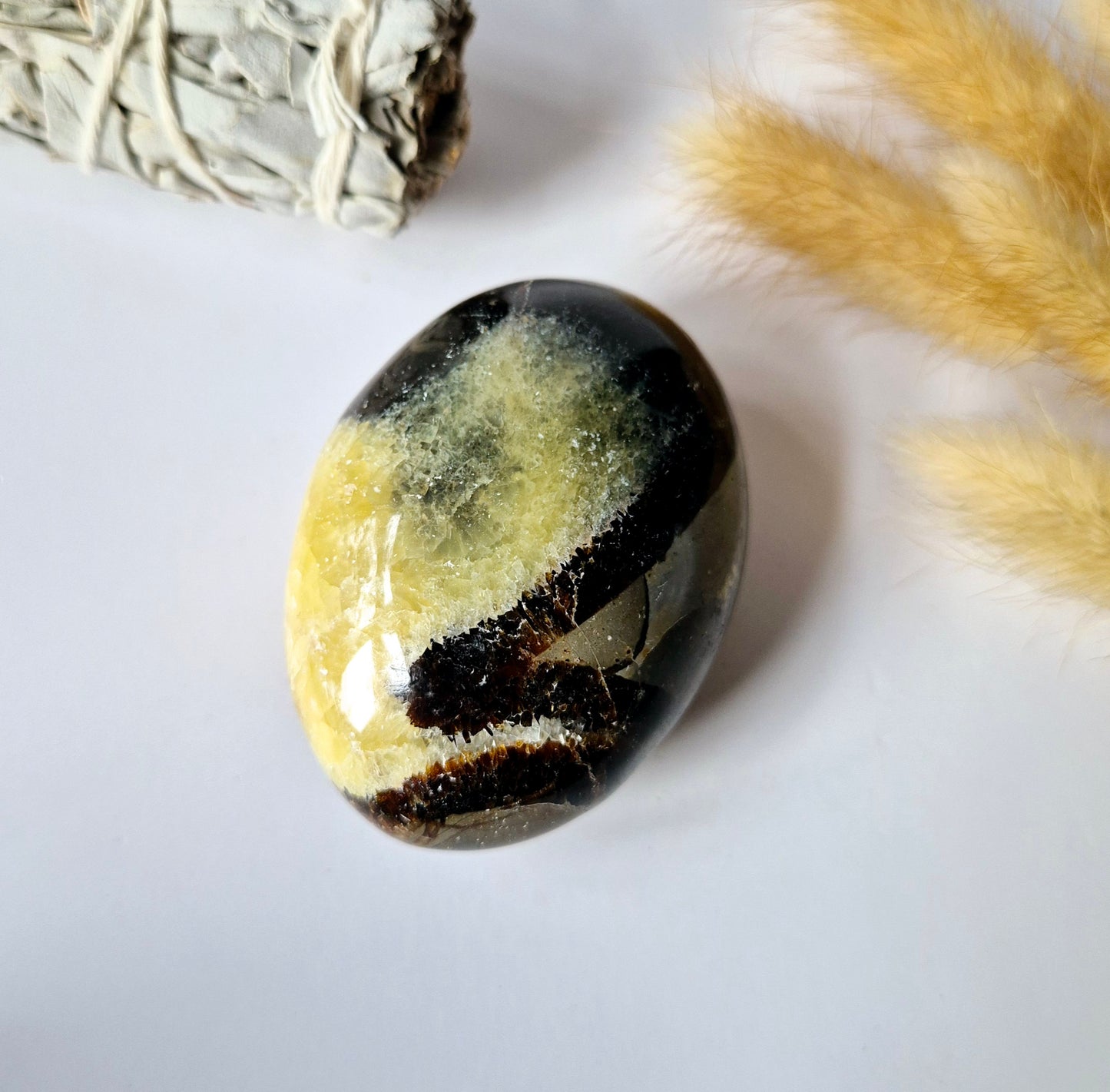 Septarian Palmstone - Handsteen voor ontspanning en rust - Worry Stone zorgensteen Draken-ei Steen