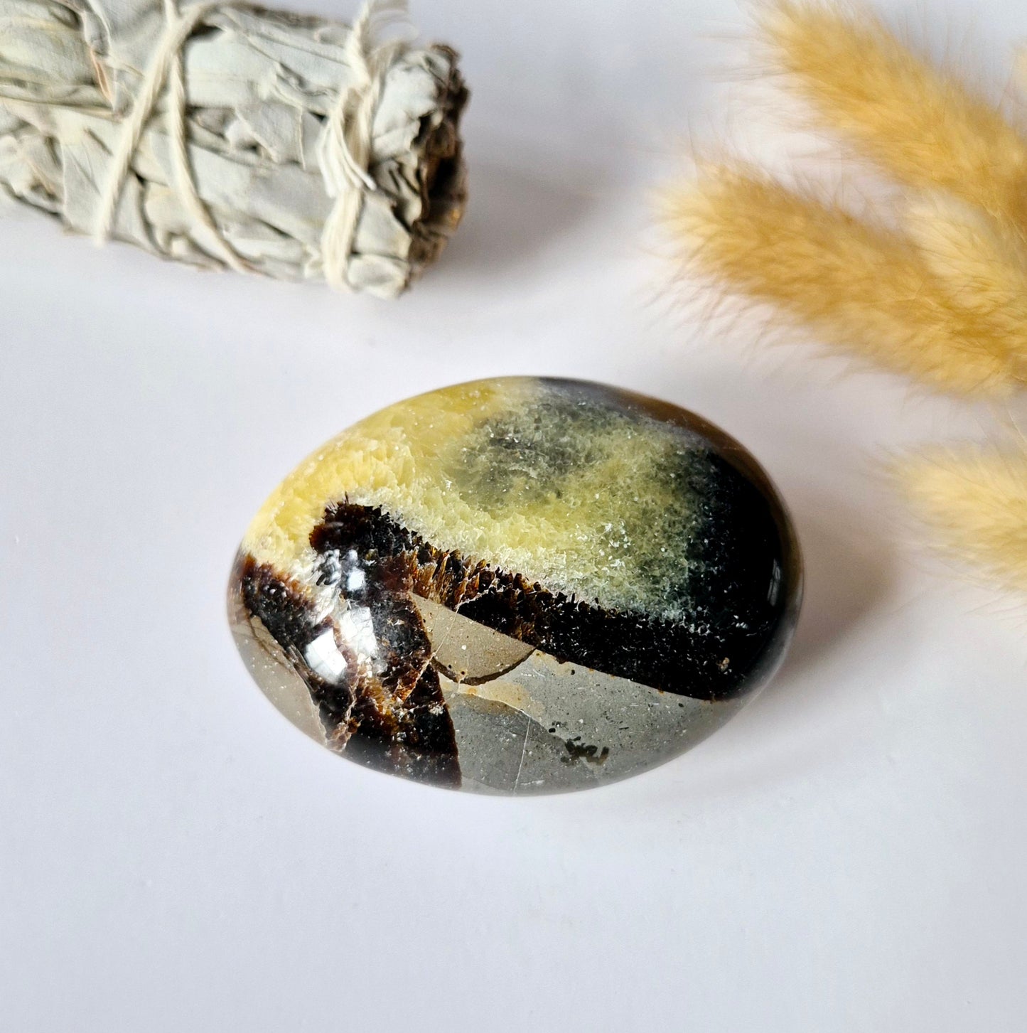 Septarian Palmstone - Handsteen voor ontspanning en rust - Worry Stone zorgensteen Draken-ei Steen