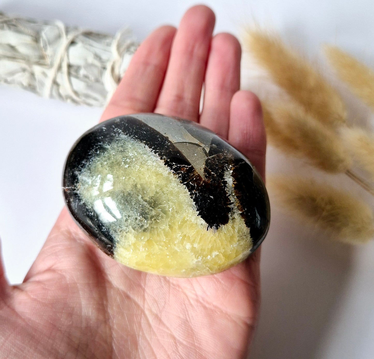Septarian Palmstone - Handsteen voor ontspanning en rust - Worry Stone zorgensteen Draken-ei Steen