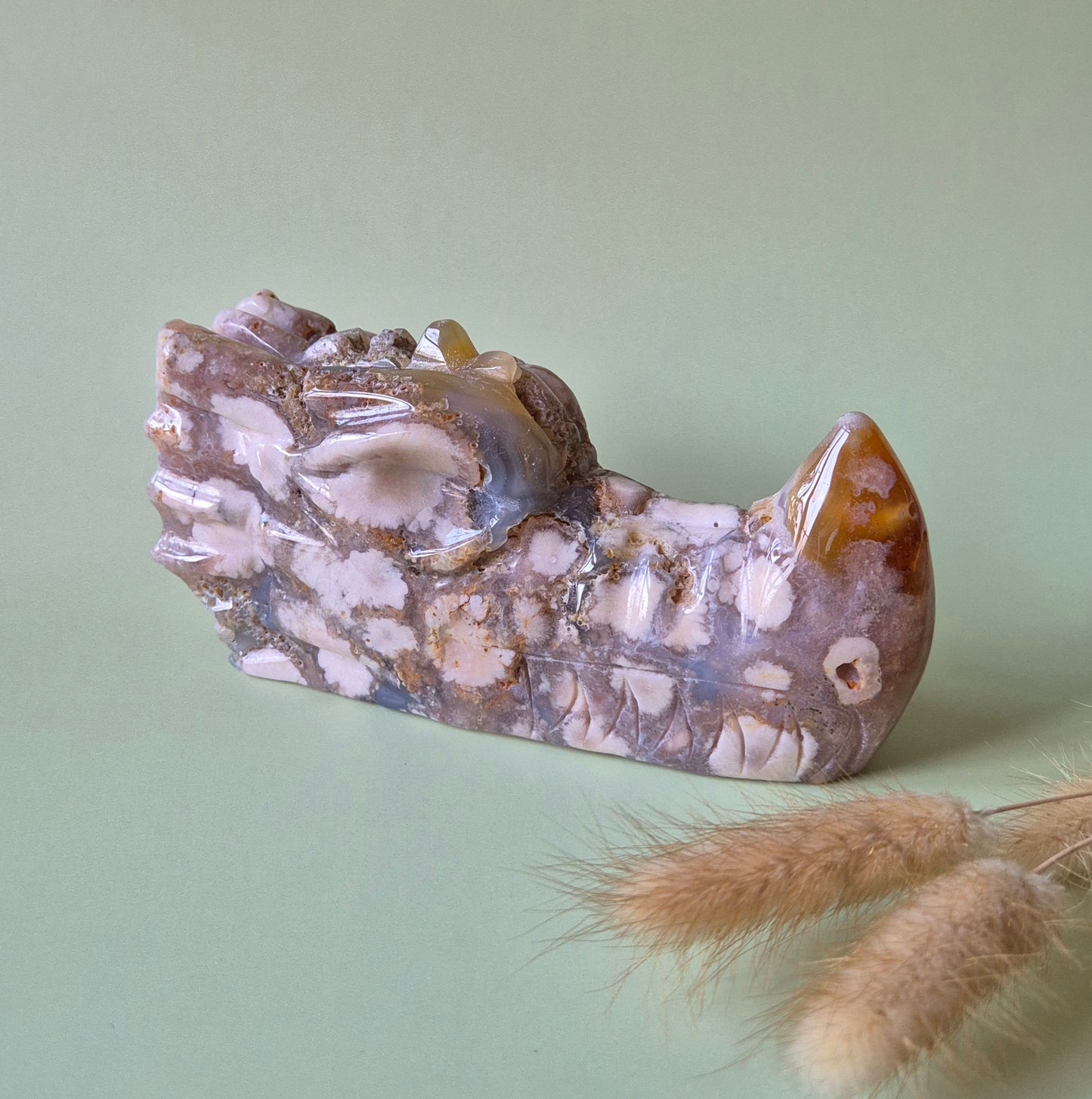 XL Edelstein Kirschblütenachat Drachenschädel 15cm (700-750 g) – Wachstum, Transformation & innere Stärke Drachenschädel Nr. 1
