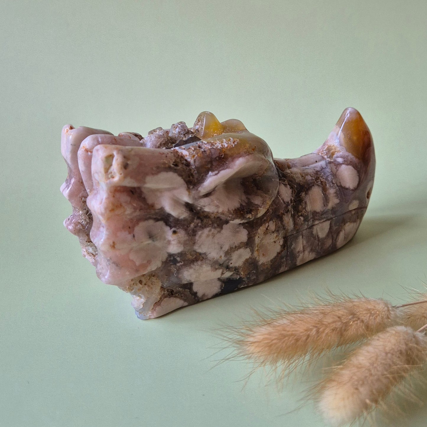XL Edelstein Kirschblütenachat Drachenschädel 15cm (700-750 g) – Wachstum, Transformation & innere Stärke Drachenschädel Nr. 1