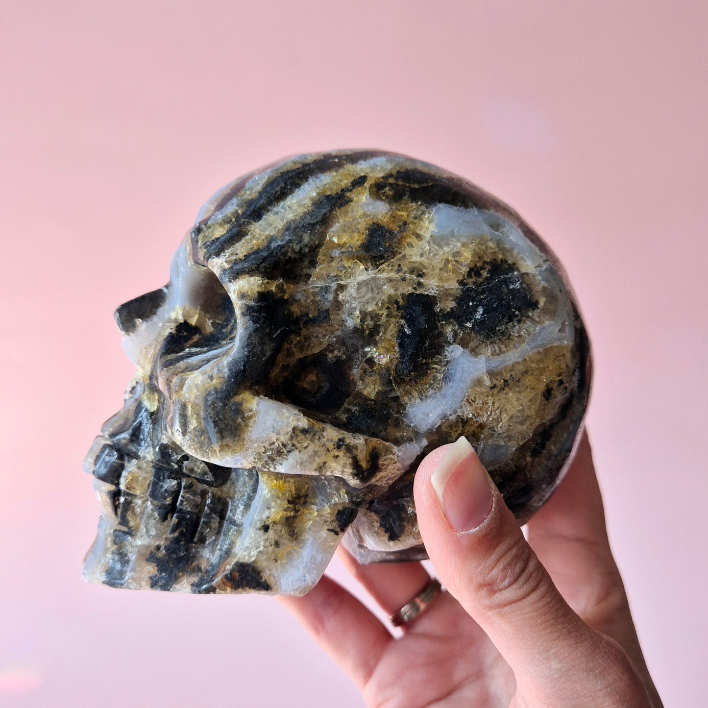 XXL Edelsteen Druzy Skull Fluoriet Schedel - #4 1297gram