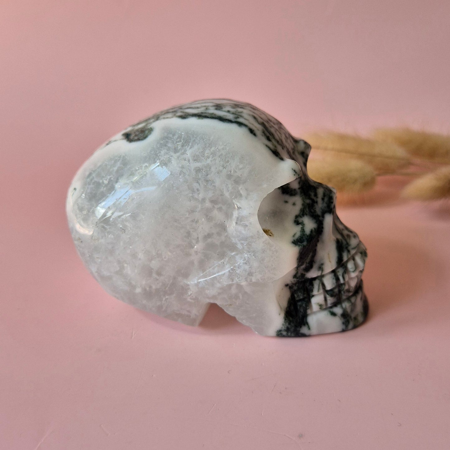 XL Edelsteen Skull Moss Agate schedel #5 - 9cm 442gram Skull