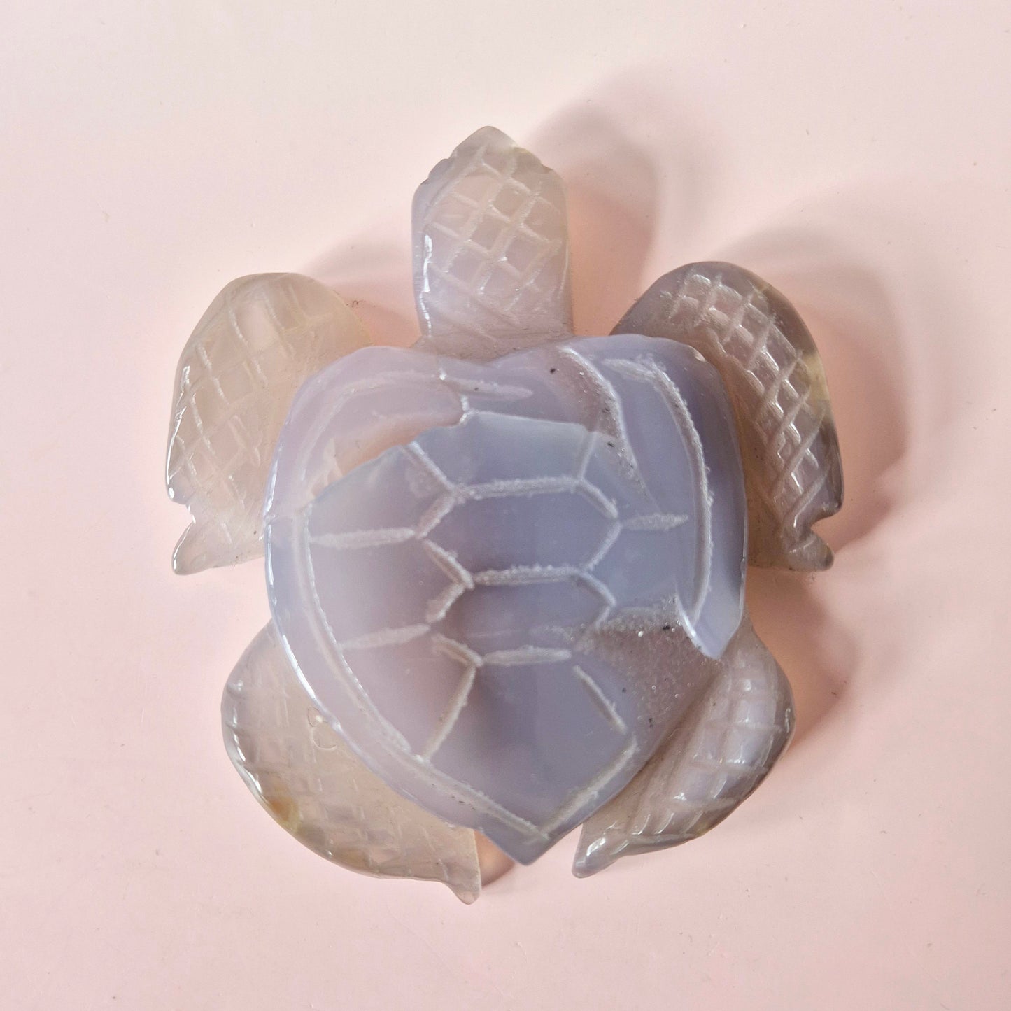 Edelstein Große Graue Achatschildkröte mit Drusen (8–12 cm) #15 – Handgeschnitzte Edelsteinschnitzerei