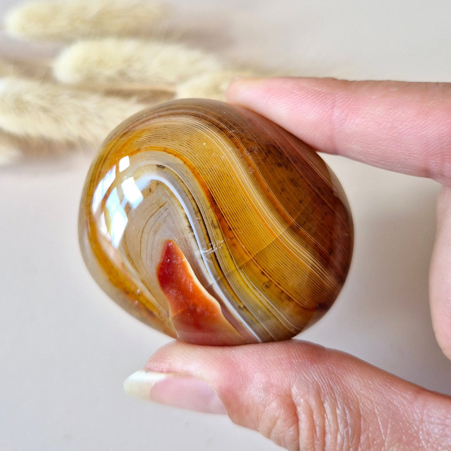 Sardonyx Palmsteen – Krachtige gepolijste steen voor balans en zelfvertrouwen (5–10 cm)