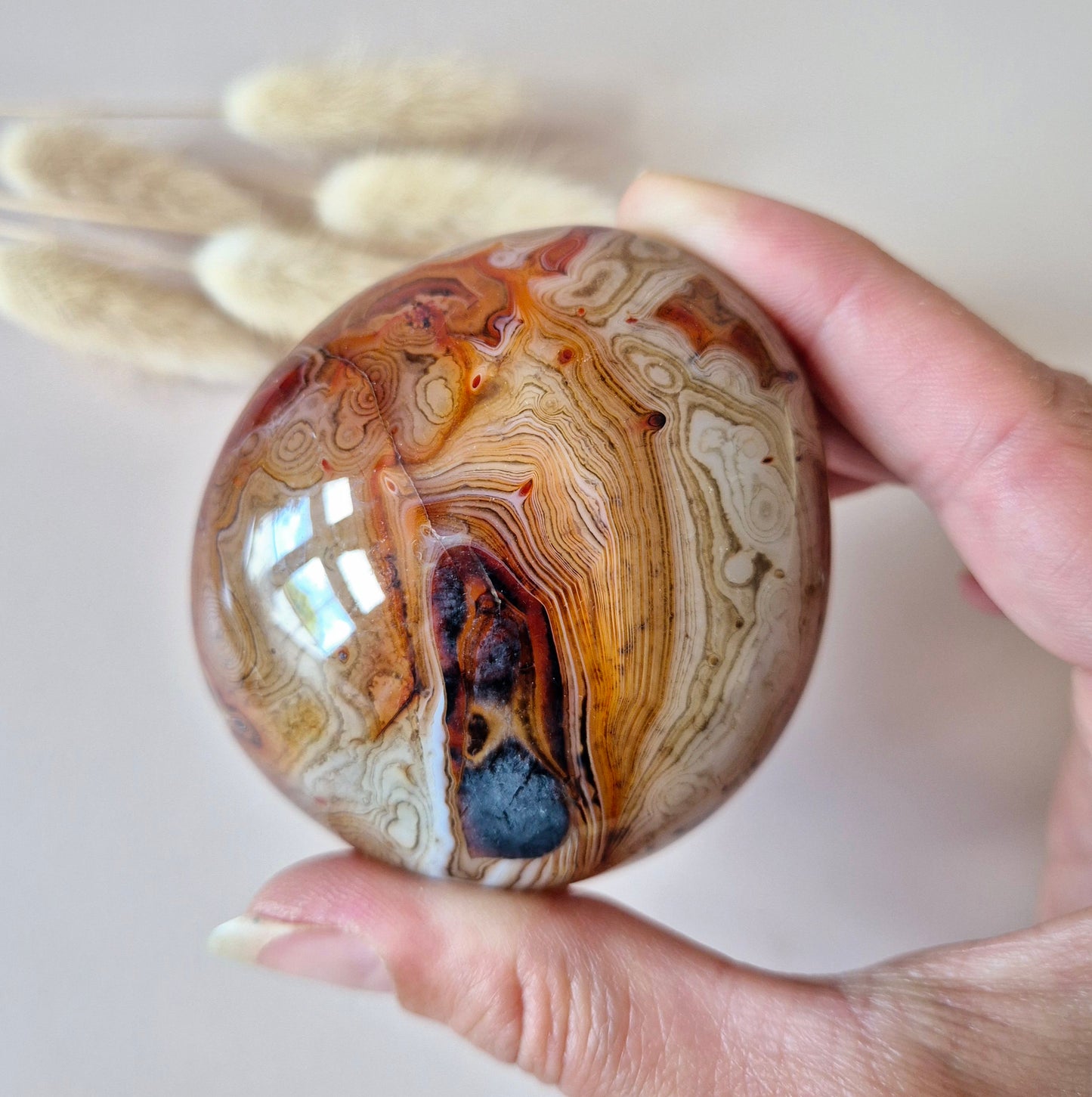 Sardonyx Palmsteen – Krachtige gepolijste steen voor balans en zelfvertrouwen (5–10 cm)