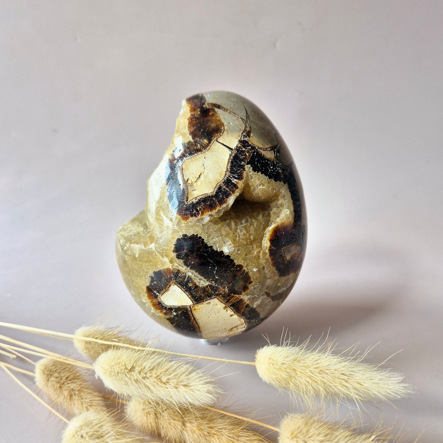 XXL Dragon Stone (Septarian) Edelsteen Druzy Ei op Standaard - 970 gram