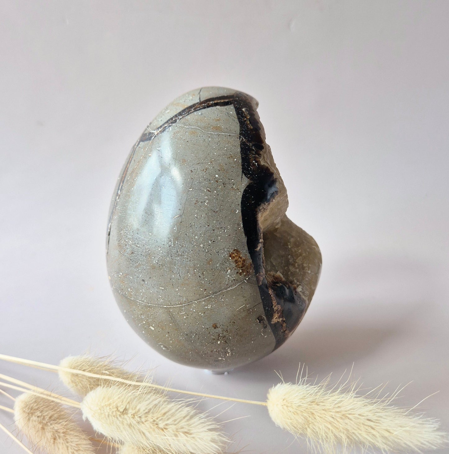 XXL Dragon Stone (Septarian) Edelsteen Druzy Ei op Standaard - 970 gram