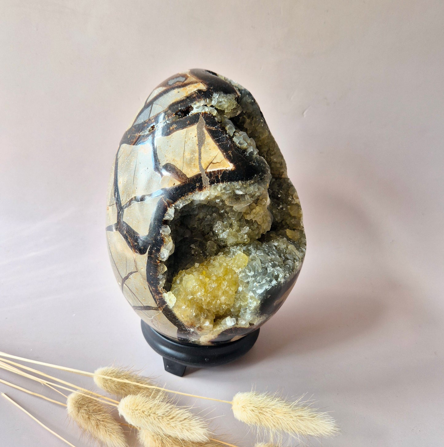 XXL Dragon Stone (Septarian) Edelsteen Druzy Ei op Standaard - 3350 gram