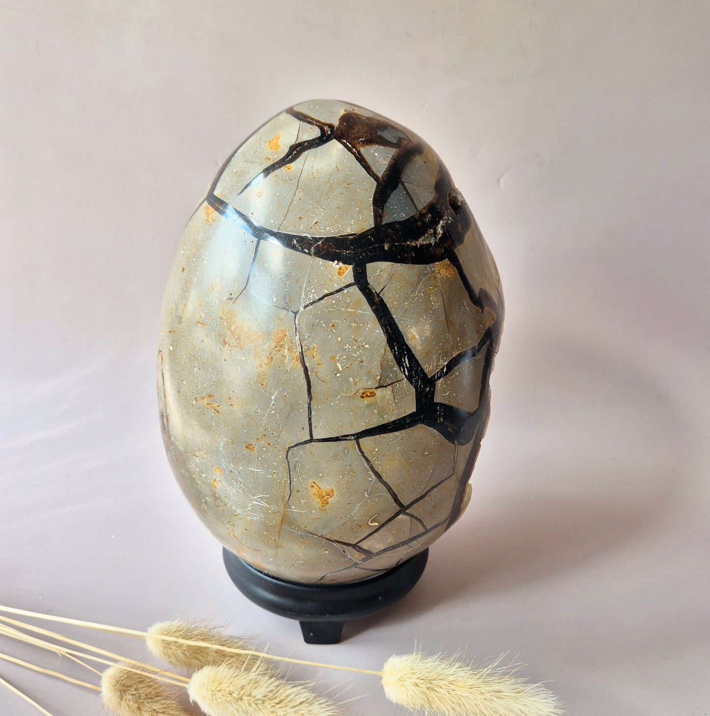 XXL Dragon Stone (Septarian) Edelsteen Druzy Ei op Standaard - 3350 gram