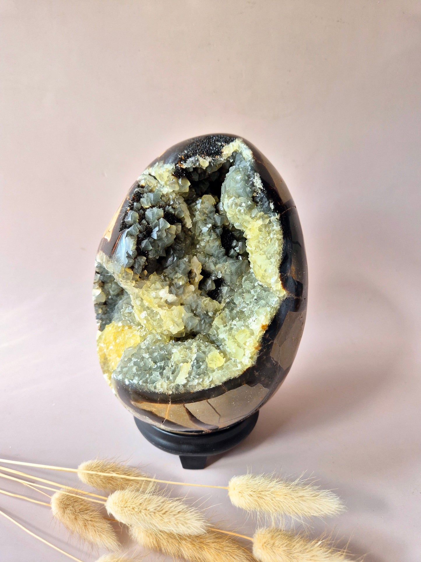 XXL Dragon Stone (Septarian) Edelsteen Druzy Ei op Standaard - 3350 gram