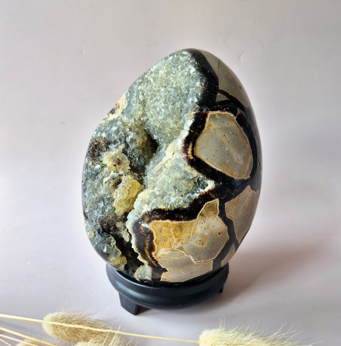 XXL Dragon Stone (Septarian) Edelsteen Druzy Ei op Standaard - 1857 gram