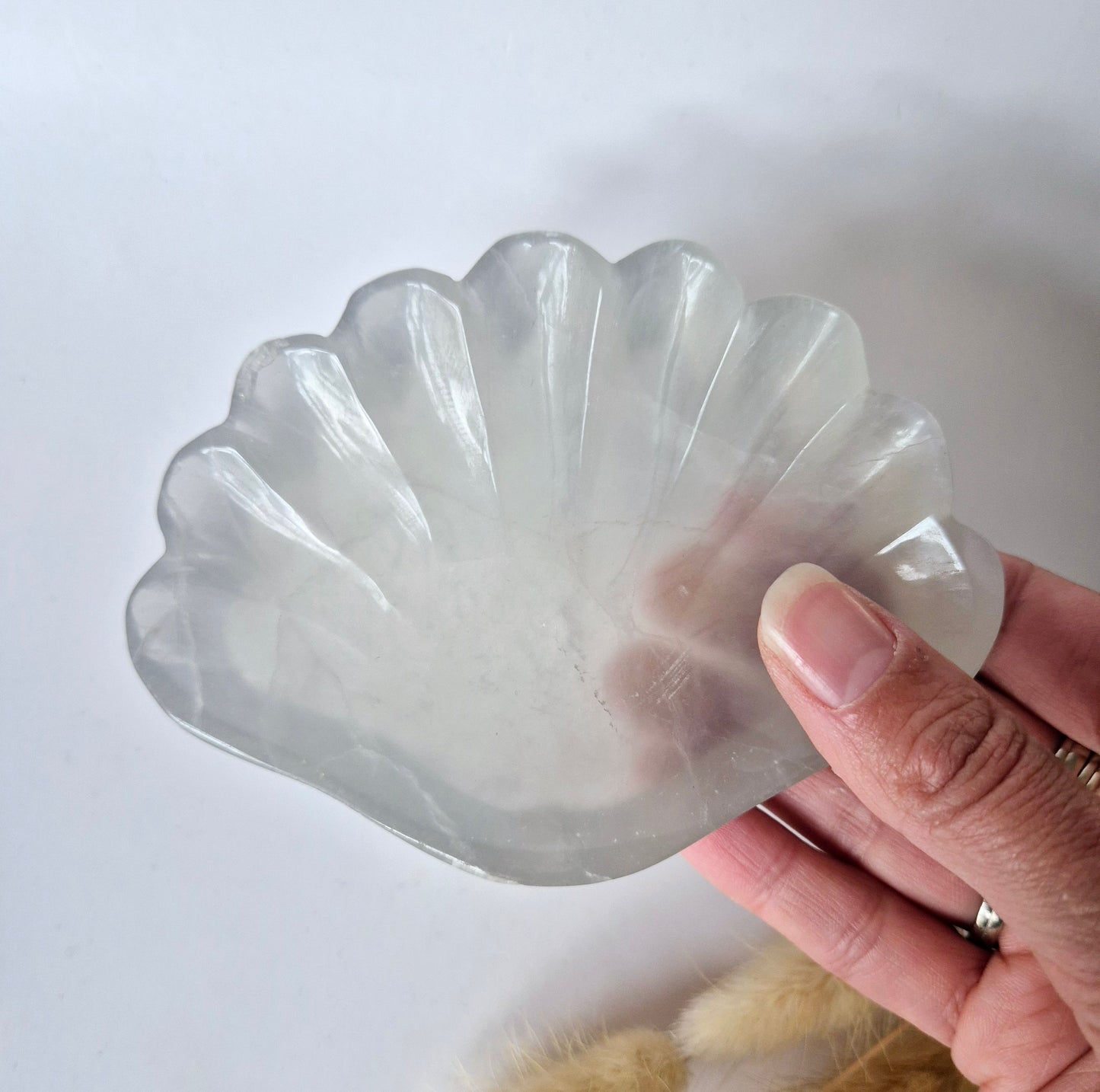 Edelsteen Carving Schaal Schelpvorm Fluoriet #15 - Uniek Cadeau