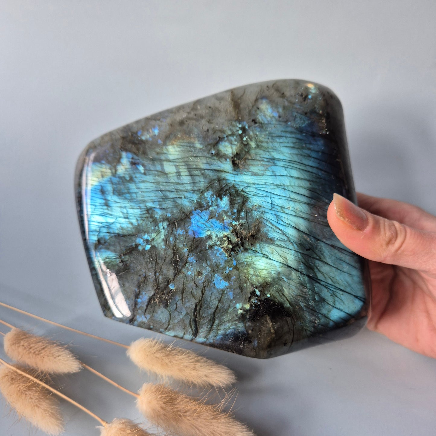 XXL Labradoriet Freeform van 1600g – Intense Flash & Spirituele Bescherming