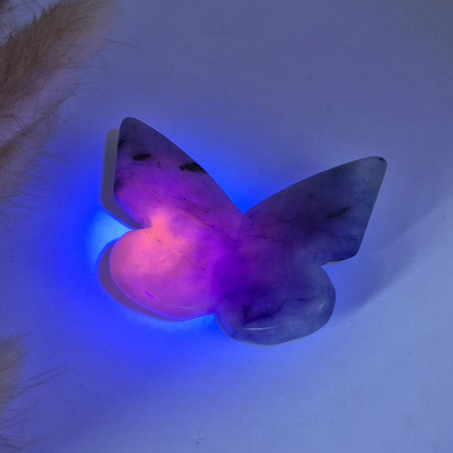 Edelsteen Vlinder 6x5 cm – Sodaliet