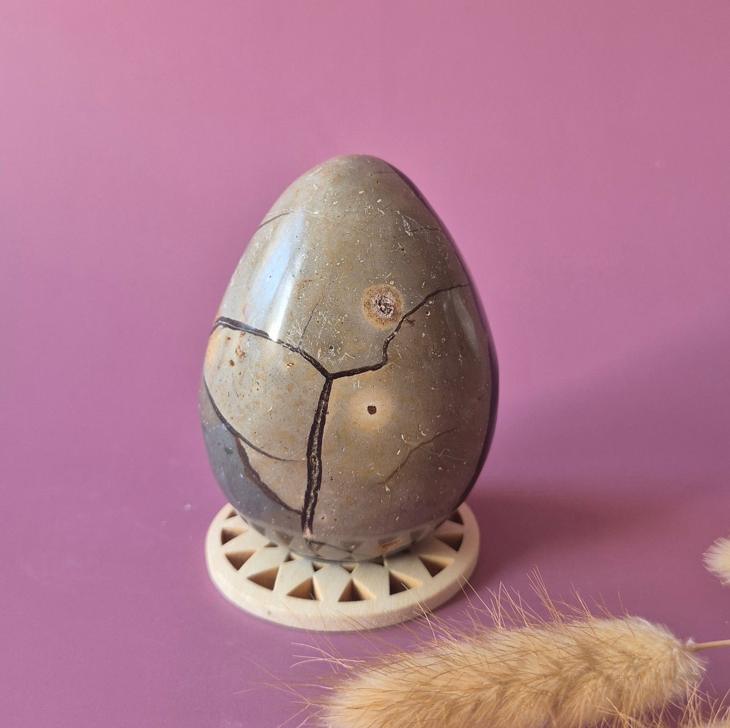 Dragon Stone (Septarian) Edelsteen Druzy Ei op Standaard - 369g