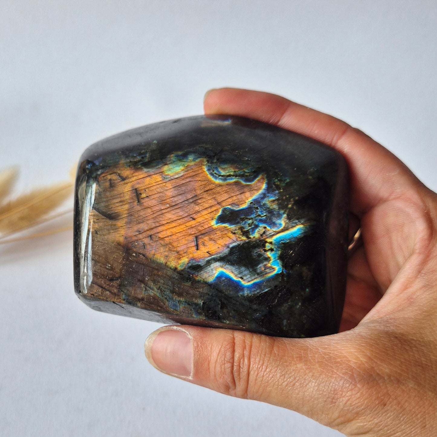 Premium Rainbow Labradorite Freeform 275g – High Flash Madagascar Labradoriet – One of a Kind Crystal