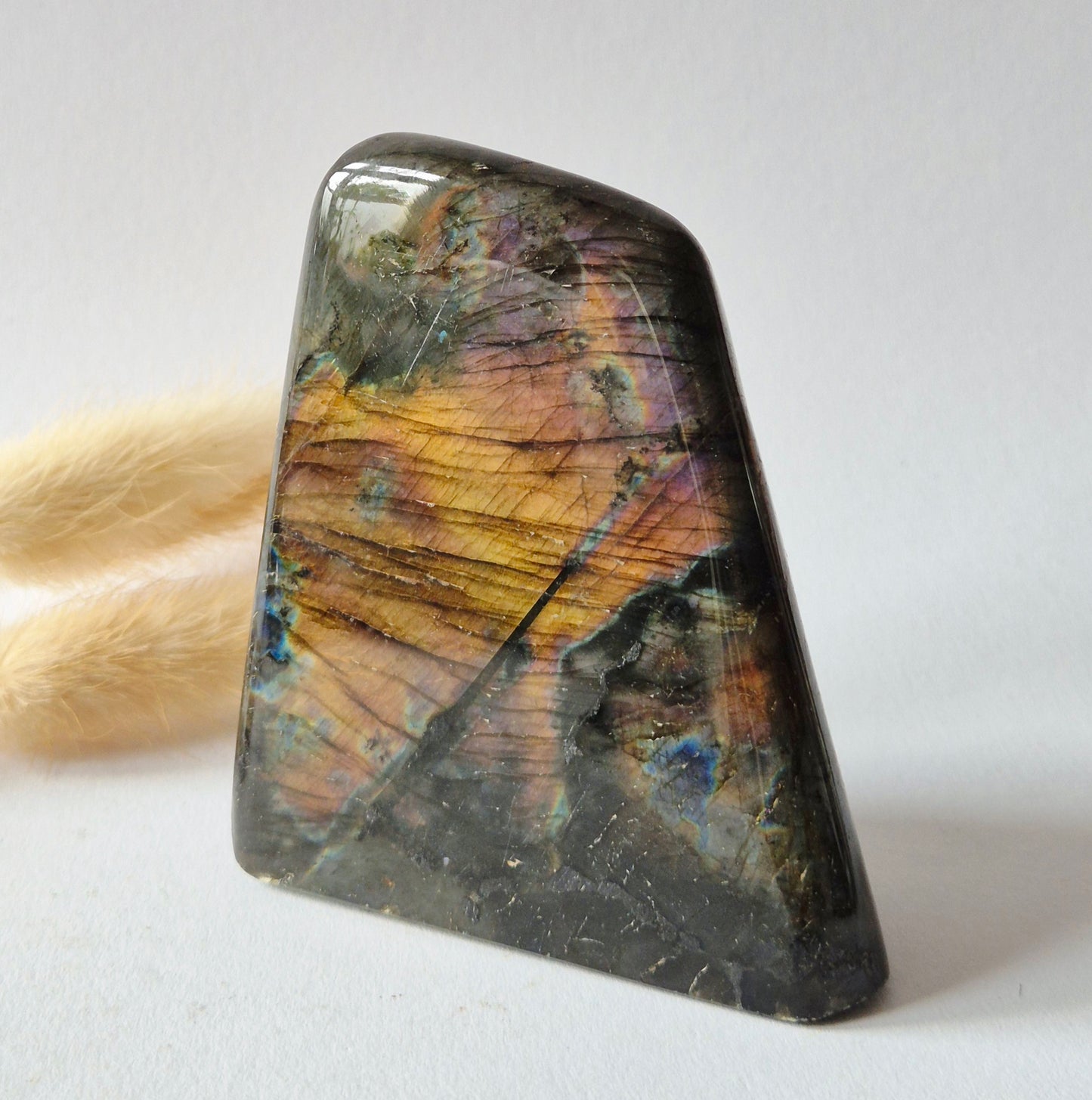 Paarse Labradoriet Freeform | 383 gram