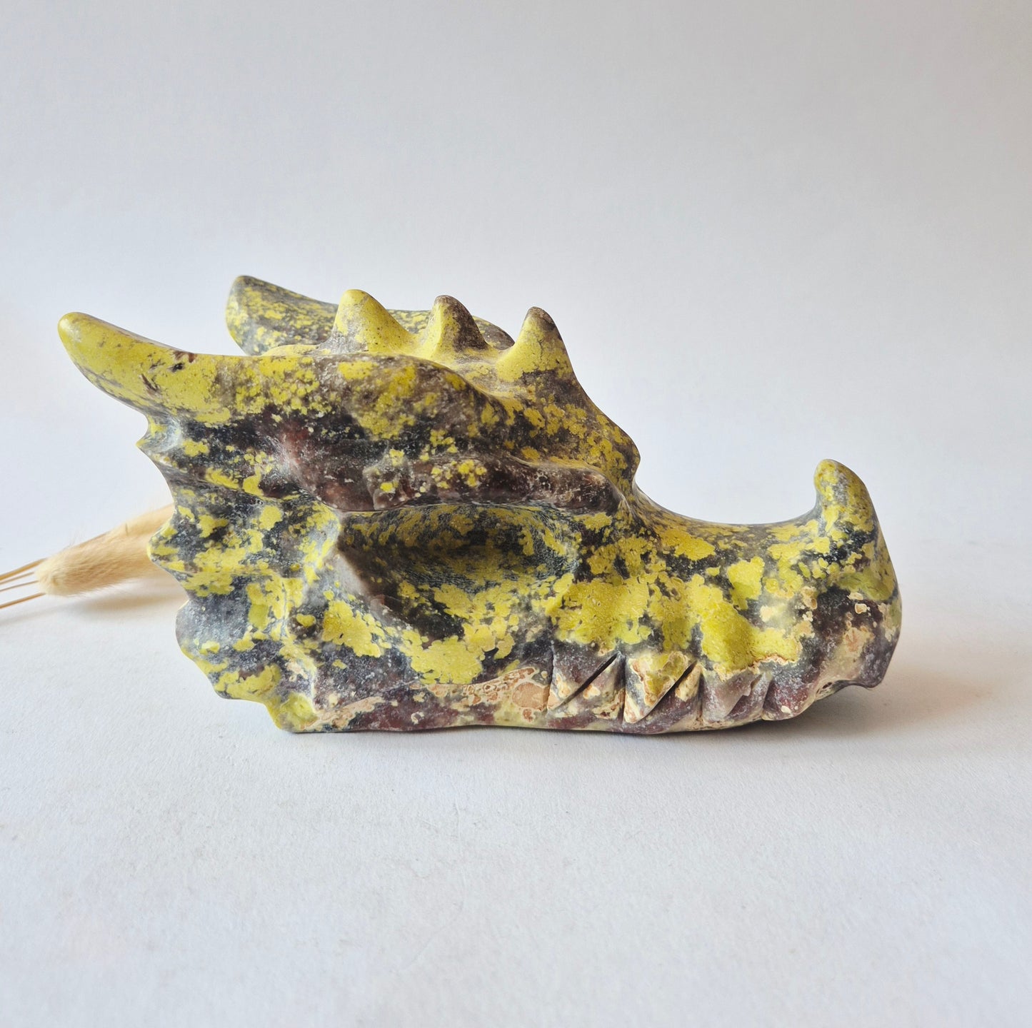 XXL Unieke Serpentijn Edelsteen Drakenschedel 1150g – 17 cm