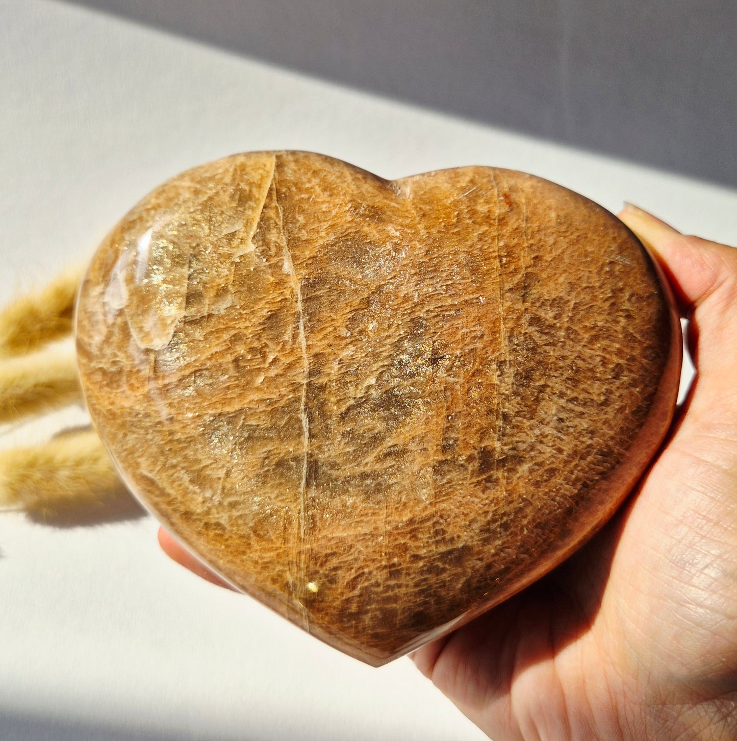 Gemstone Ocean Jasper Palmstone (6-8 cm) – Balance & Positive Energy Handstone worrystone worrystone