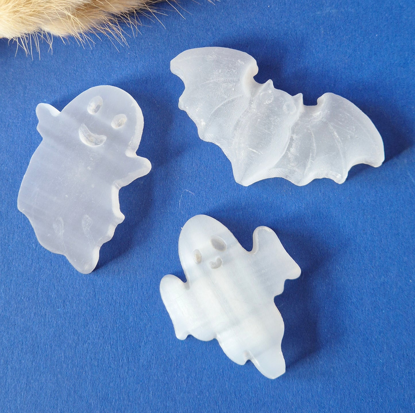 Seleniet Halloween Carvings – Vleermuis