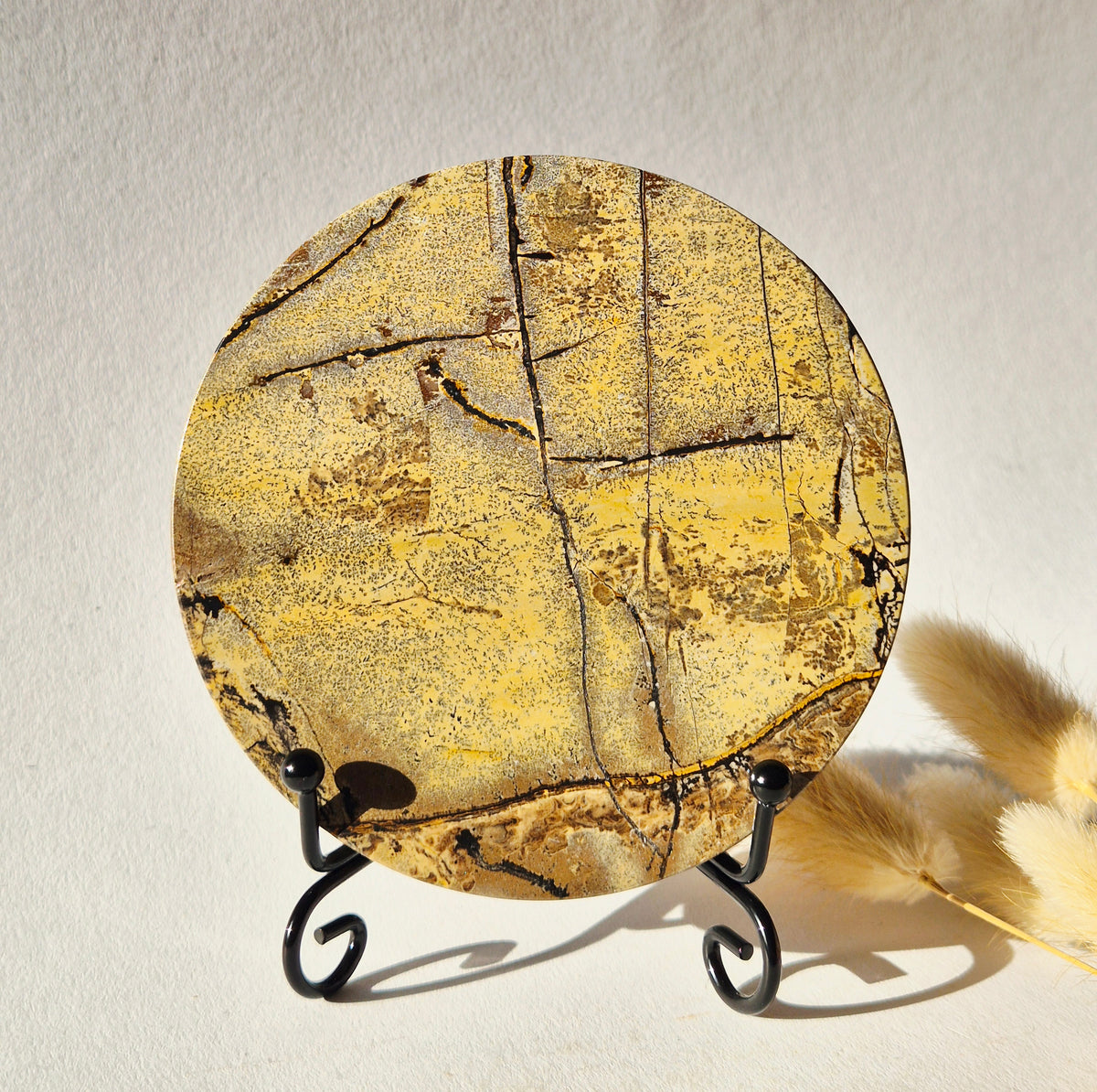 Picture Jasper Schijf op Metalen Standaard – ca. 10 cm #2
