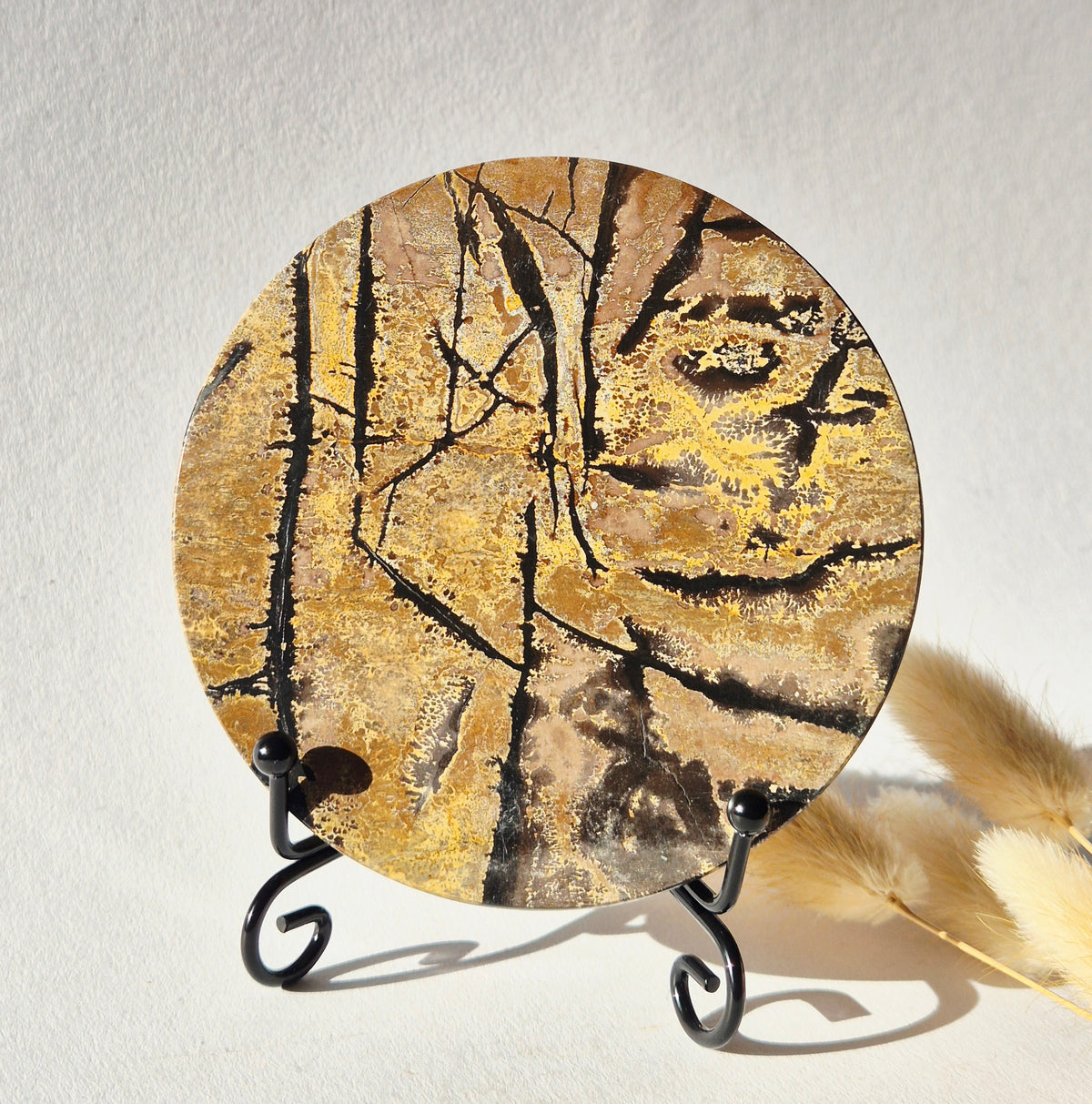 Picture Jasper Schijf op Metalen Standaard – ca. 10 cm #3