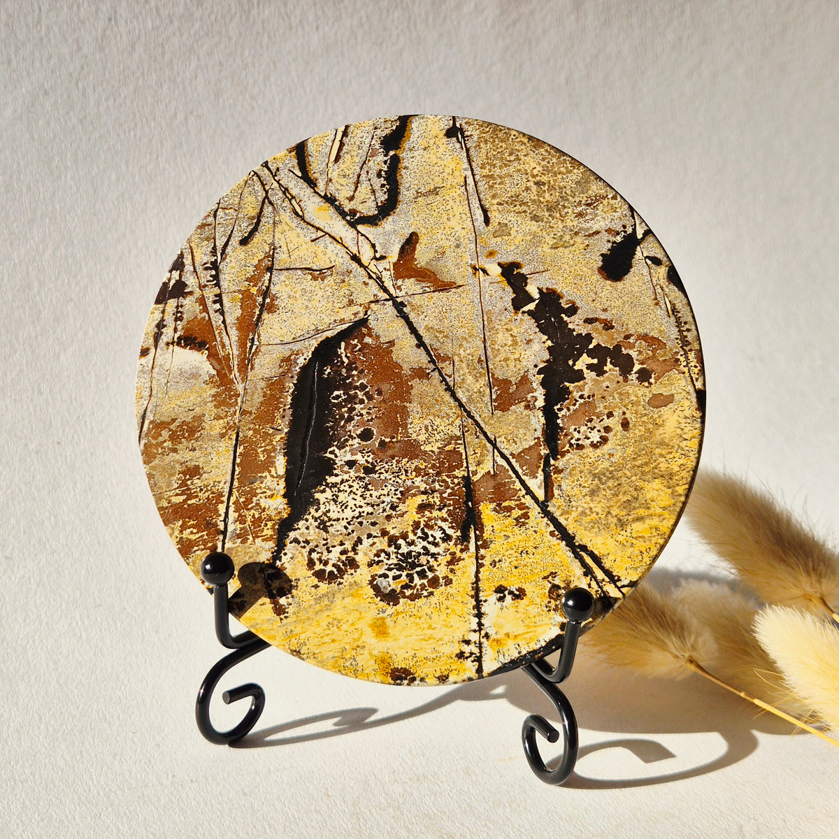 Picture Jasper Schijf op Metalen Standaard – ca. 10 cm #5