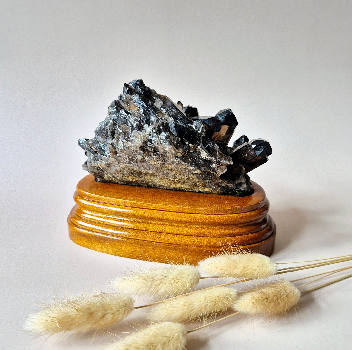 XL Ruwe Smoky Quartz Edelsteen Cluster op Houten Standaard