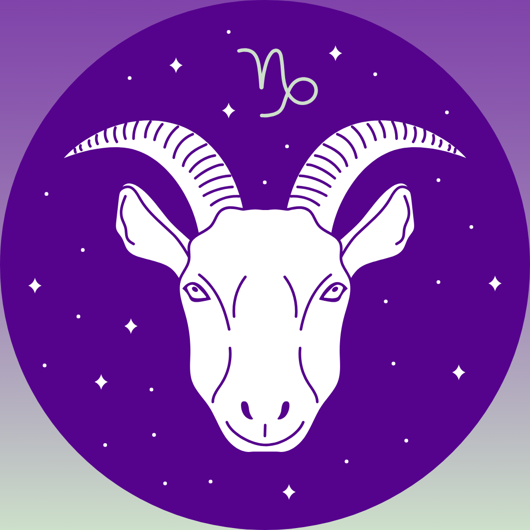 Steenbok (22 december – 19 januari) - Capricorn