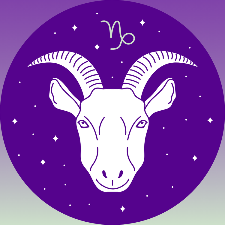 Steenbok (22 december – 19 januari) - Capricorn