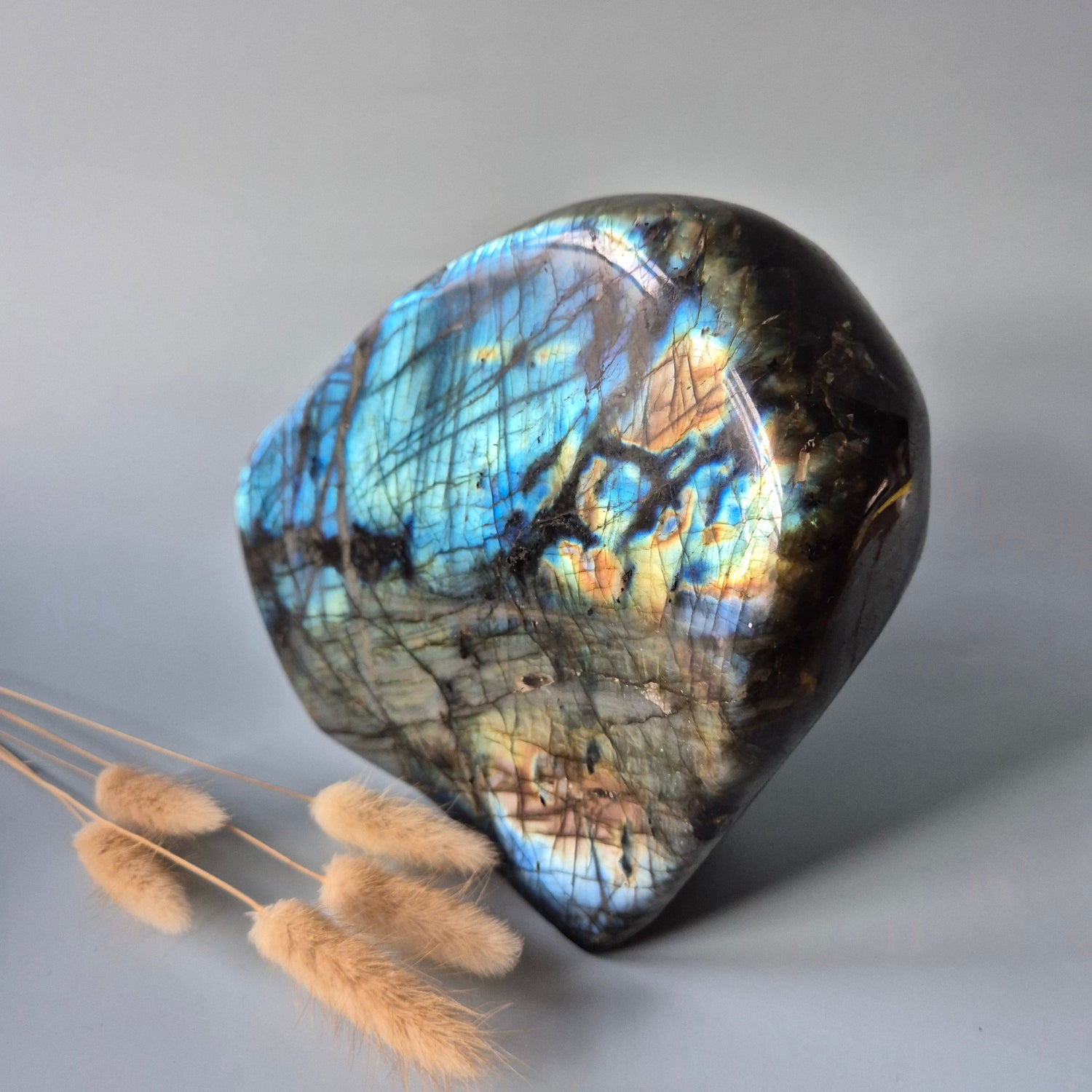 Freeform edelstenen volgen hun natuurlijke vorm en energie. Elk stuk is uniek en krachtig.