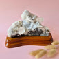 Gemstone (Druzy) Agate Disc on Stand (11–14 cm) – #19 Grounding, Balance &amp; Natural Beauty