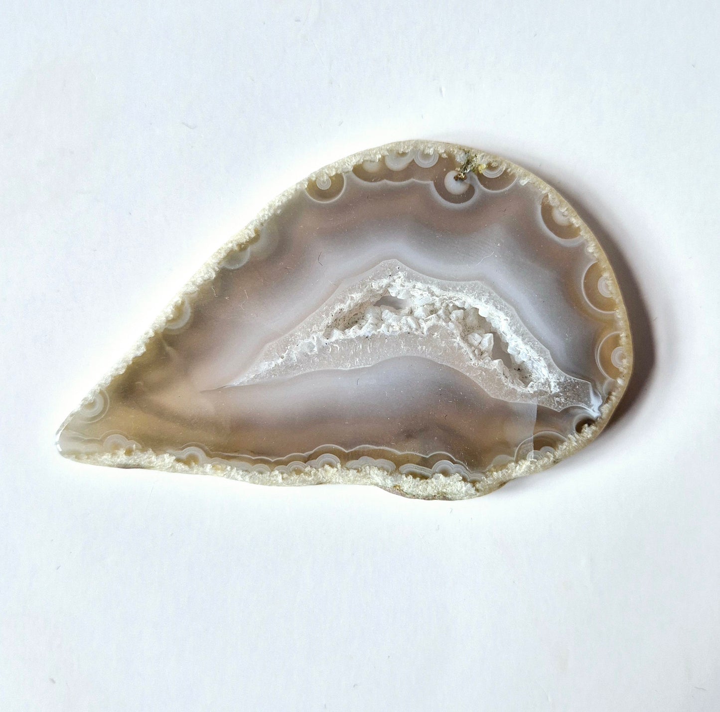 Agate slices (5-7 cm and 7-9 cm)