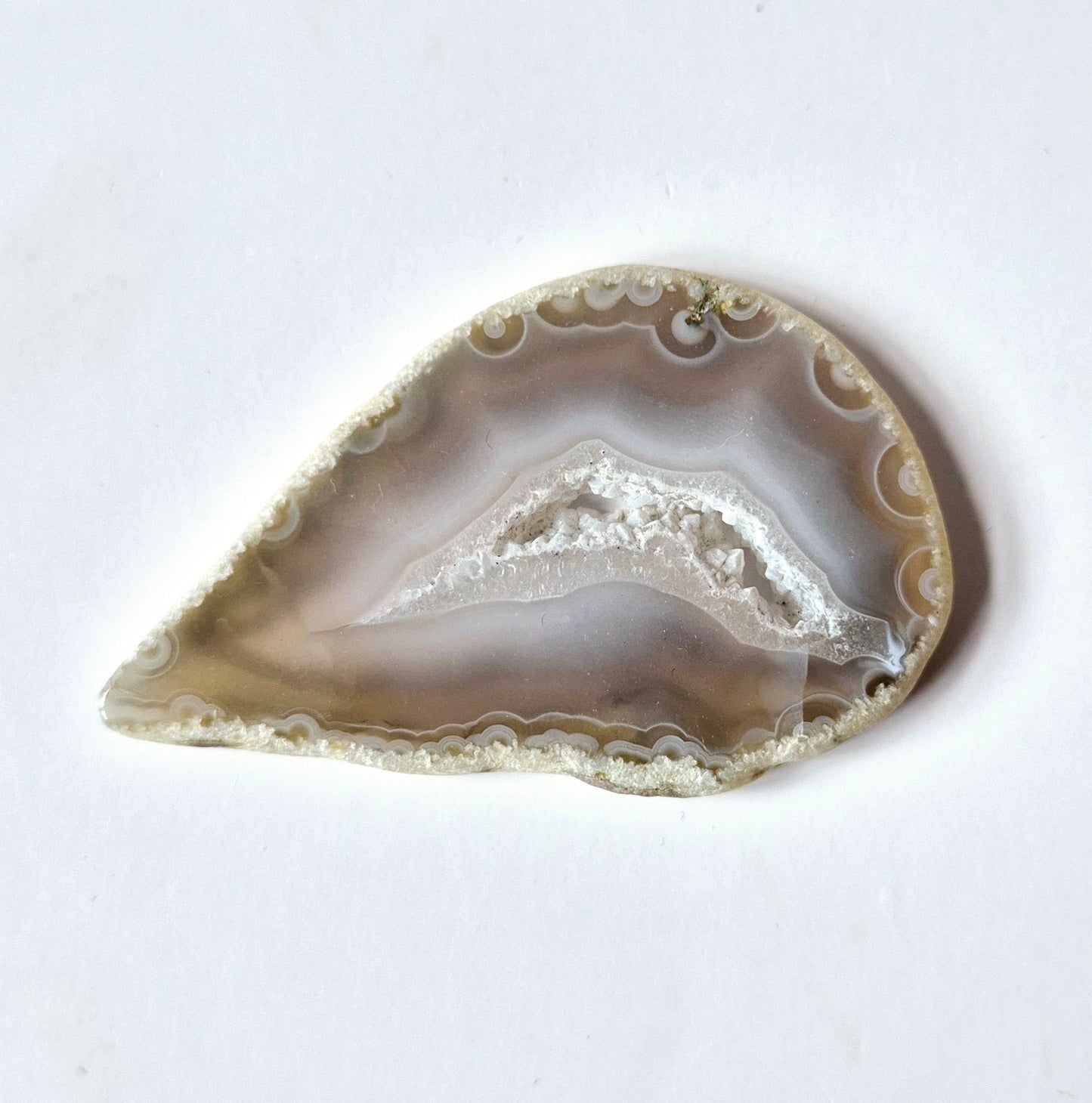Agate slices (5-7 cm and 7-9 cm)