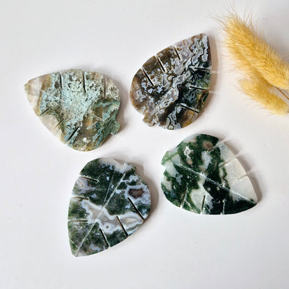 Edelstein Druzy Moss Achat Monstera Blatt (8 x 5,5 cm) – Natur, Wachstum &amp; Erdung