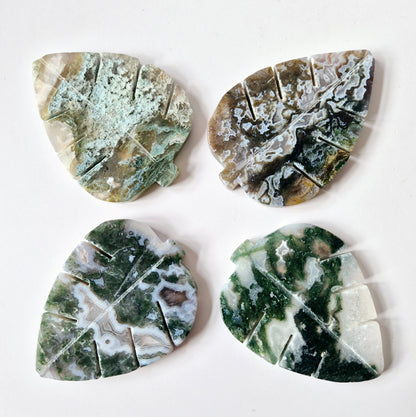 Edelstein Druzy Moss Achat Monstera Blatt (8 x 5,5 cm) – Natur, Wachstum &amp; Erdung