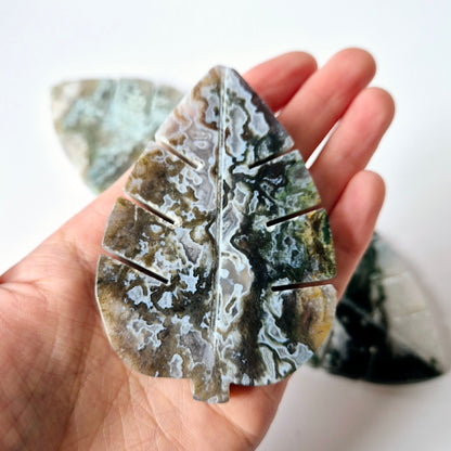 Edelstein Druzy Moss Achat Monstera Blatt (8 x 5,5 cm) – Natur, Wachstum &amp; Erdung