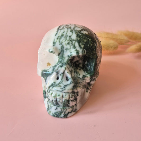 XL Edelsteen Skull Moss Agate schedel #5 - 9cm 442gram Skull