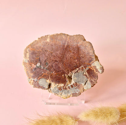 Versteinertes Holz Scheibe – Versteinertes Holz 200g | ca. 10–12 cm