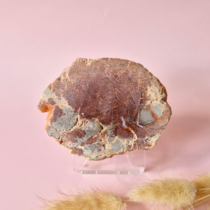 Versteinertes Holz Scheibe – Versteinertes Holz 200g | ca. 10–12 cm