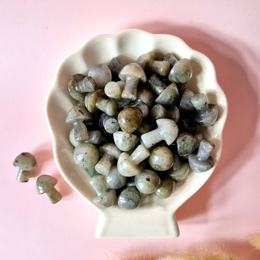 Mini Edelsteen Paddenstoel – Labradoriet (2 cm)