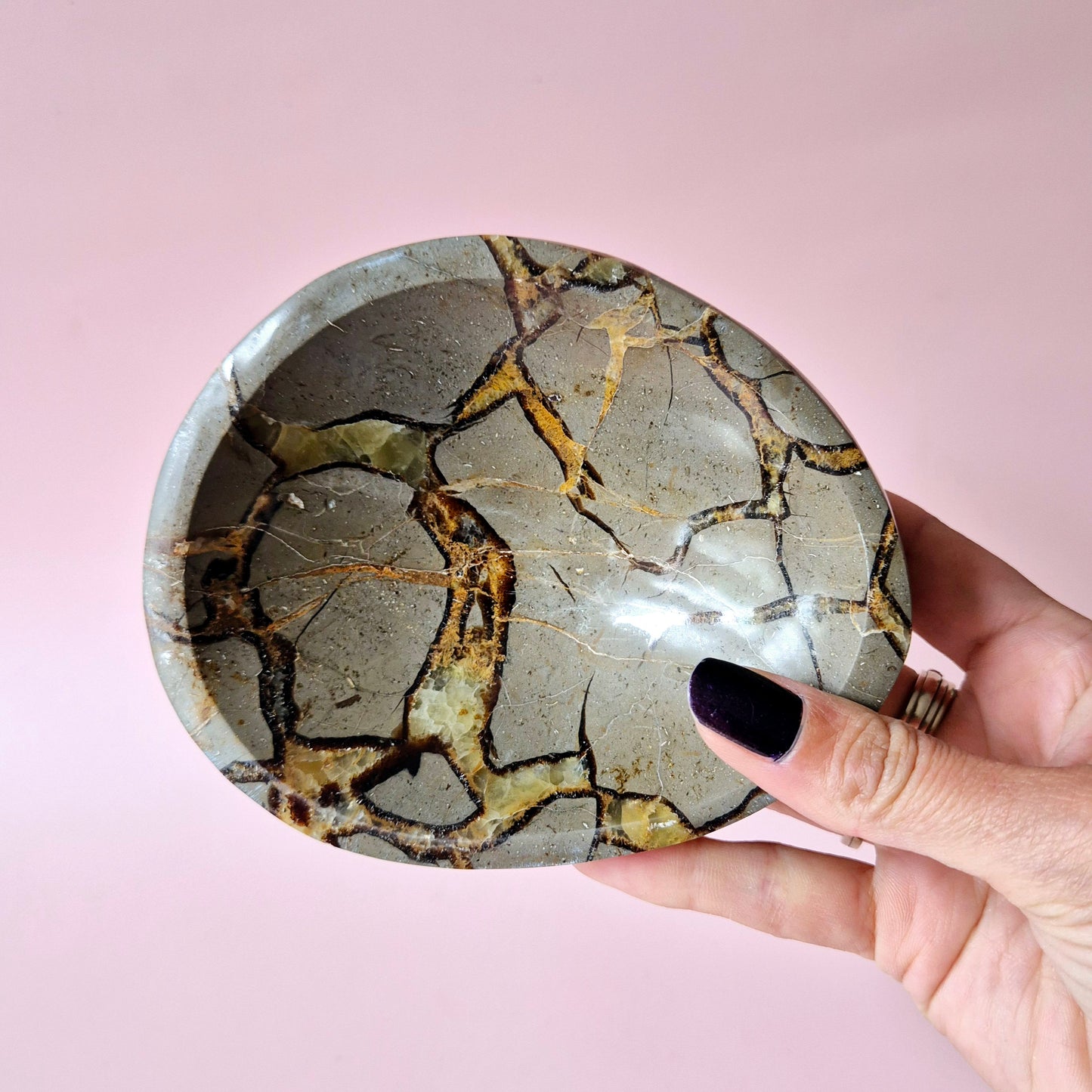 XL Dragon Stone (Septarian) Edelsteen Decoratieve Schaal - #2 12,5x10cm 625gram
