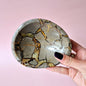XL Dragon Stone (Septarian) Edelsteen Decoratieve Schaal - #2 12,5x10cm 625gram