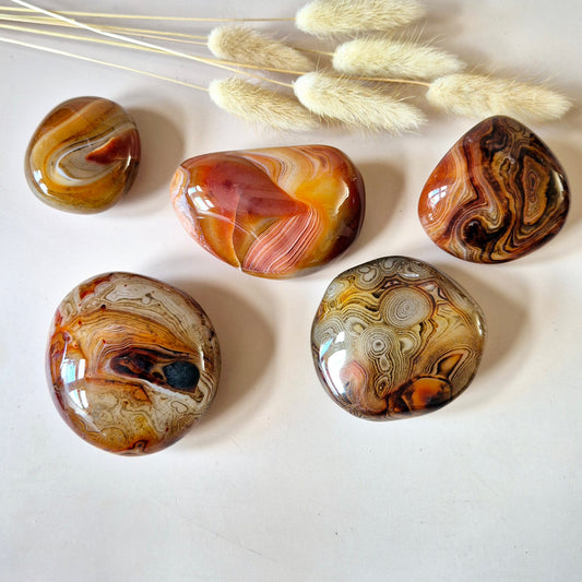 Sardonyx Palmsteen – Krachtige gepolijste steen voor balans en zelfvertrouwen (5–10 cm)