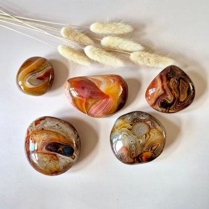 Sardonyx Palmsteen – Krachtige gepolijste steen voor balans en zelfvertrouwen (5–10 cm)