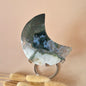 XL Edelsteen Mosagaat Maan op Standaard (Druzy & Patronen) #175 - 215gr