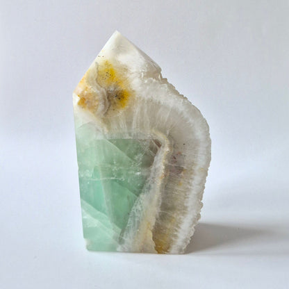 Groene Fluoriet Punt – Ruw & Gepolijst | Uniek Druzy Stuk 500 gram